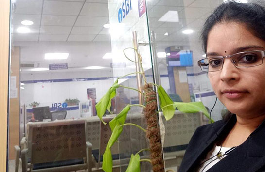 Click to view larger image